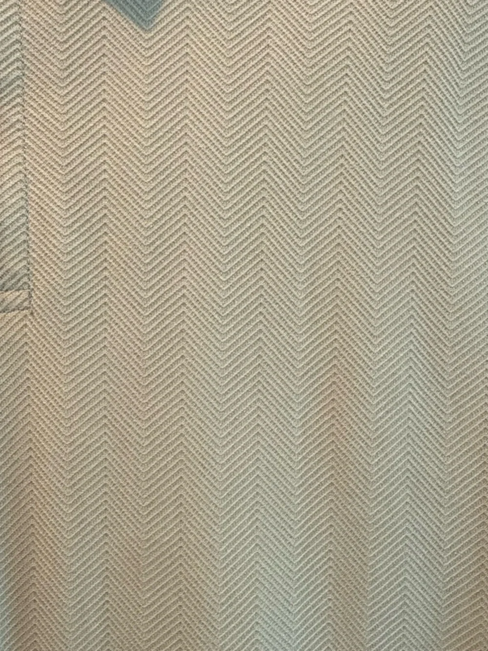 J crew olive green herringbone polo